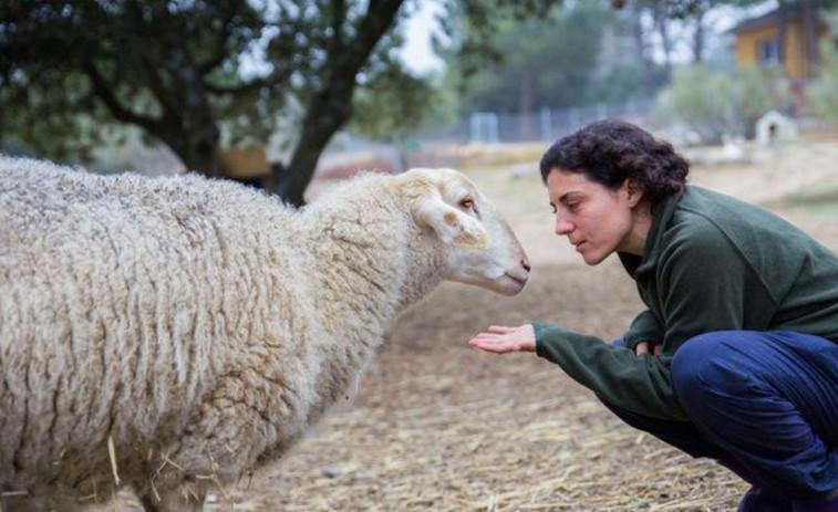 O Partido Animalista é a sexta forza en Galicia, por diante de CxG