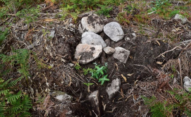 Denuncian falta de protección dun xacemento arqueolóxico en Cervo