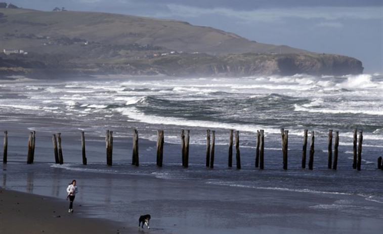 ​Alerta por tsunami en Nueva Zelanda tras un terremoto de 7,8