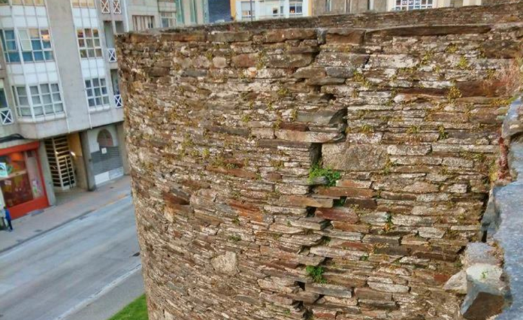 Las grietas en la muralla preocupan al nuevo delegado de la Xunta en Lugo