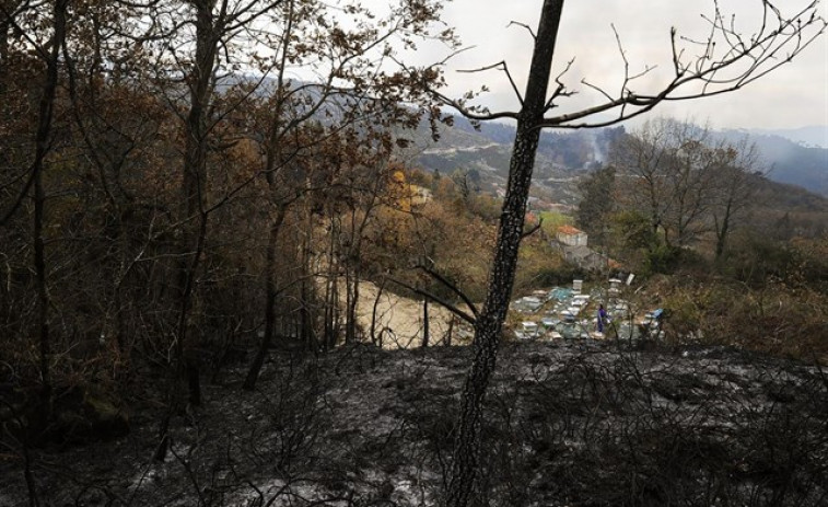 ​La ola de incendios forestales da un respiro a Galicia