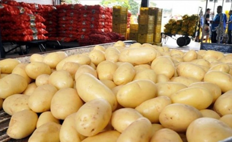 ​Solamente en Lugo se han retirado más de 30 toneladas de patatas