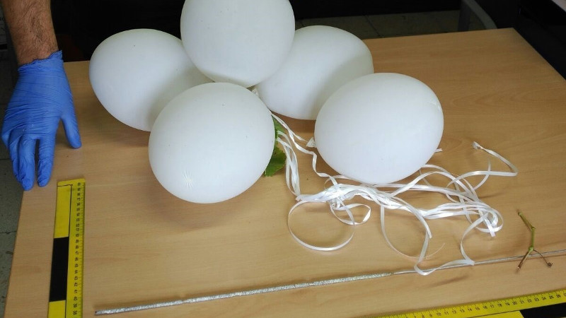 Globosbengalasalceda