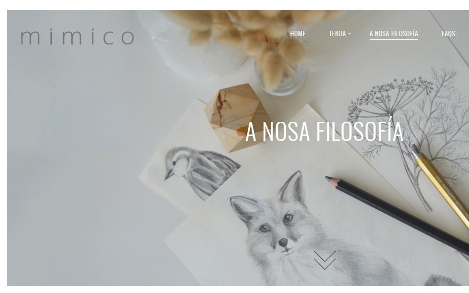 Mimicoslowfashionmodagallega