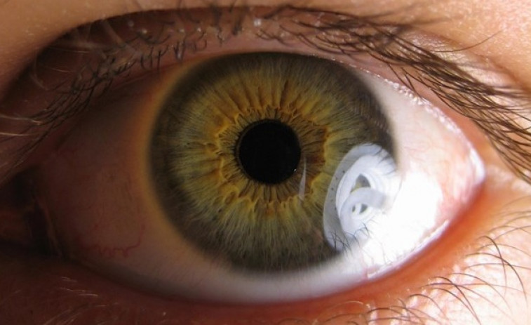 ​Investigadores compostelanos avanzan en la investigación de la mayor causa de ceguera
