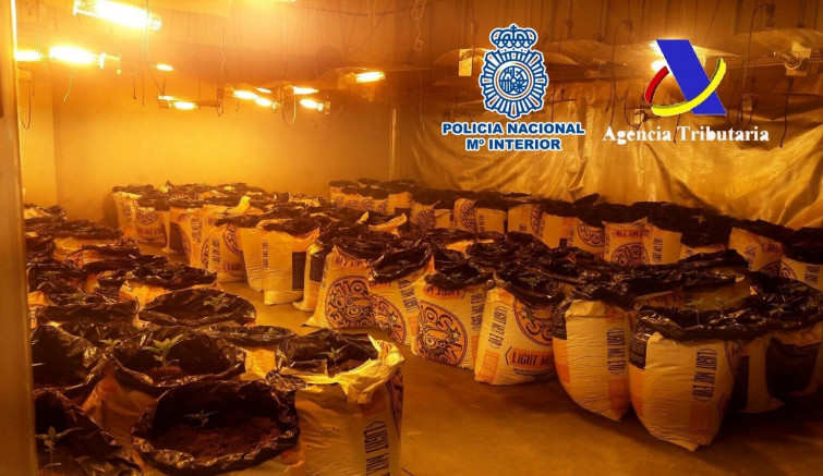 Detenidas dos personas en Pontevedra que introducían droga en España impregnada en equipajes