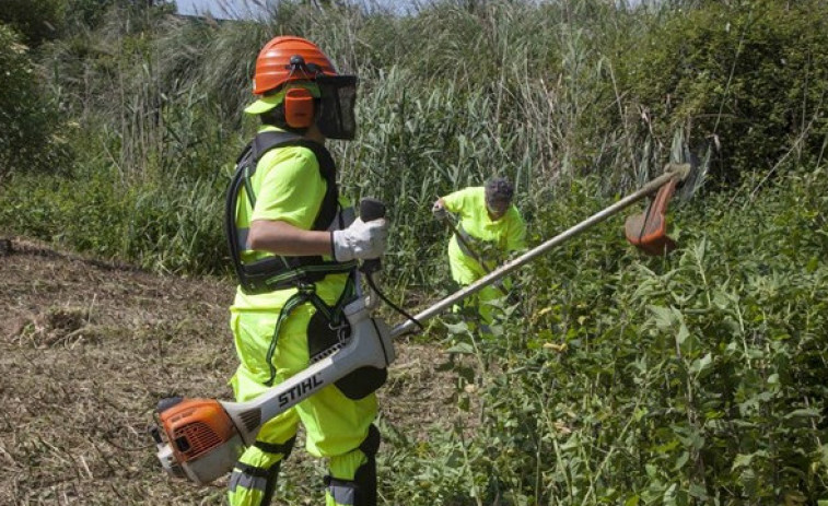 Nueva norma obliga a mantener limpias las fincas todo el año para prevenir incendios en Galicia
