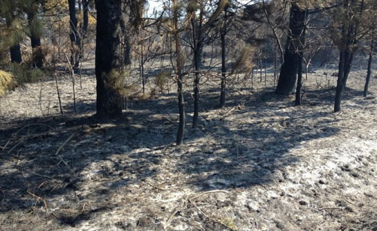 ​Unos chavales que quemaron unos cuadernos provocaron un incendio que calcinó 14 hectáreas en Ourense