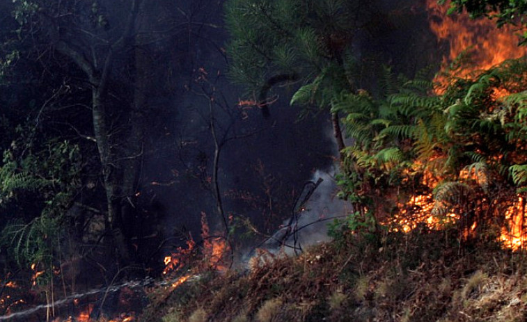 Un incendio forestal en Maside avanza con rapidez