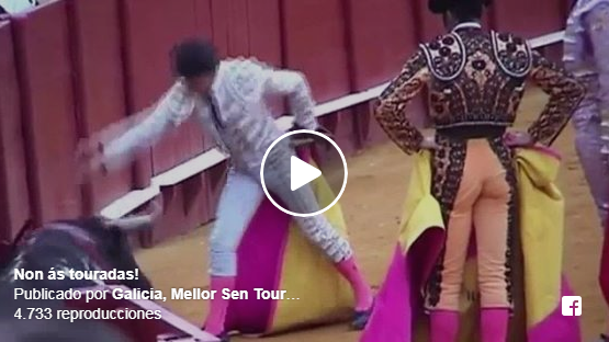 Invitación en vídeo para la manifestación contra la feria taurina de Pontevedra