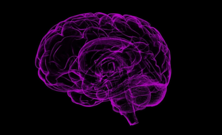 Un estudio relaciona la inflamación del cerebro con el desarrollo de Alzheimer