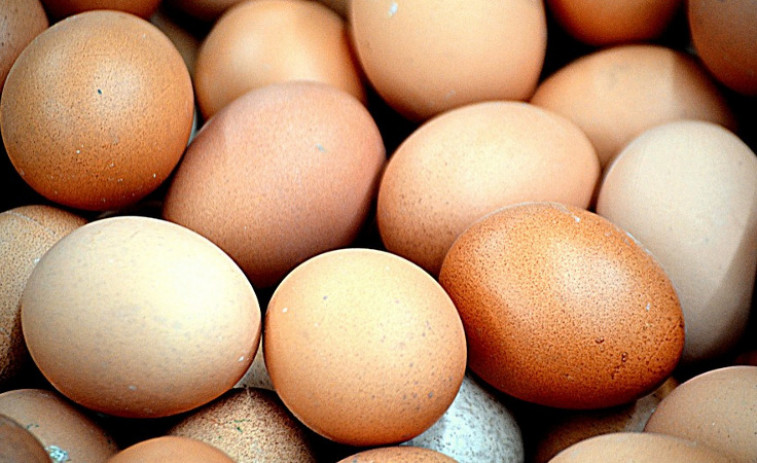 La crisis europea de los huevos contaminados llega a España