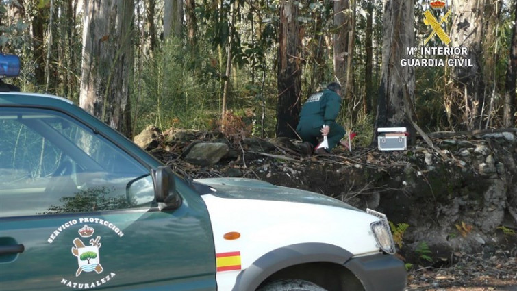 La minera de Touro asegura que no murieron truchas