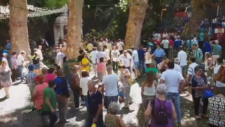 Más de una decena de muertos por la caída de un árbol en una romería en Madeira