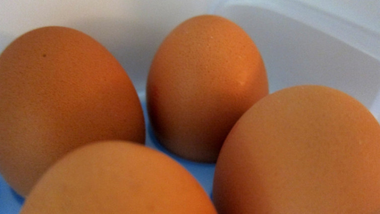Detectada en España una nueva partida de huevos contaminados con fipronil