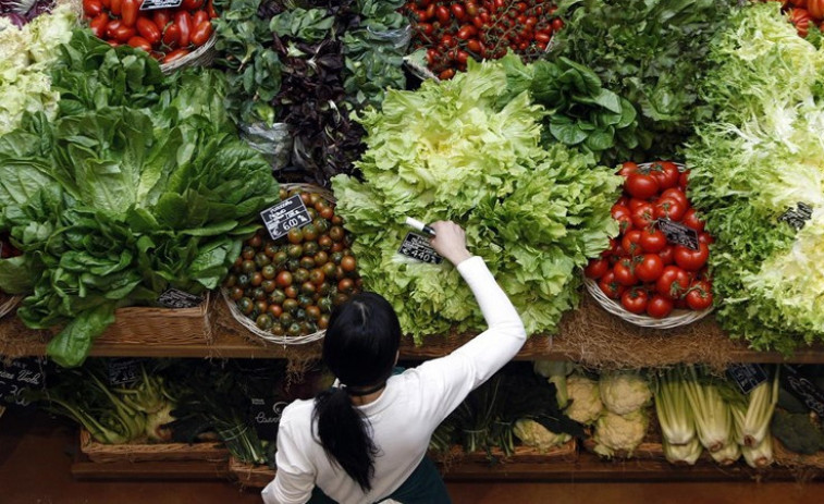 Contra el colesterol, mejor una dieta vegetariana que solo reducir calorías