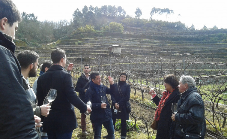 Reconocidos prescriptores do mundo do viño vistan a Denominacion de Orixe Ribeiro en Ourense