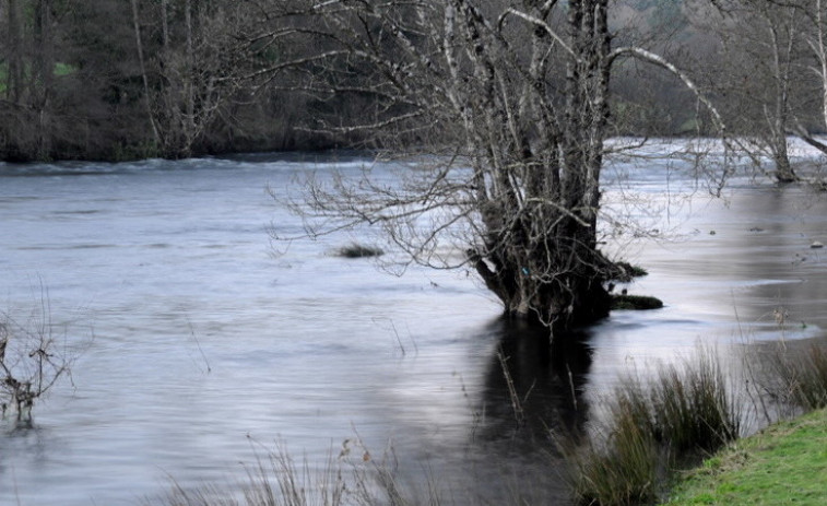Galicia entrará en alerta por sequía si no llueven 70 litros por metro cuadrado en septiembre