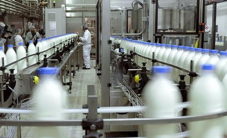 La CNMC multa con 88,2 millones de euros a varias empresas de la industria láctea