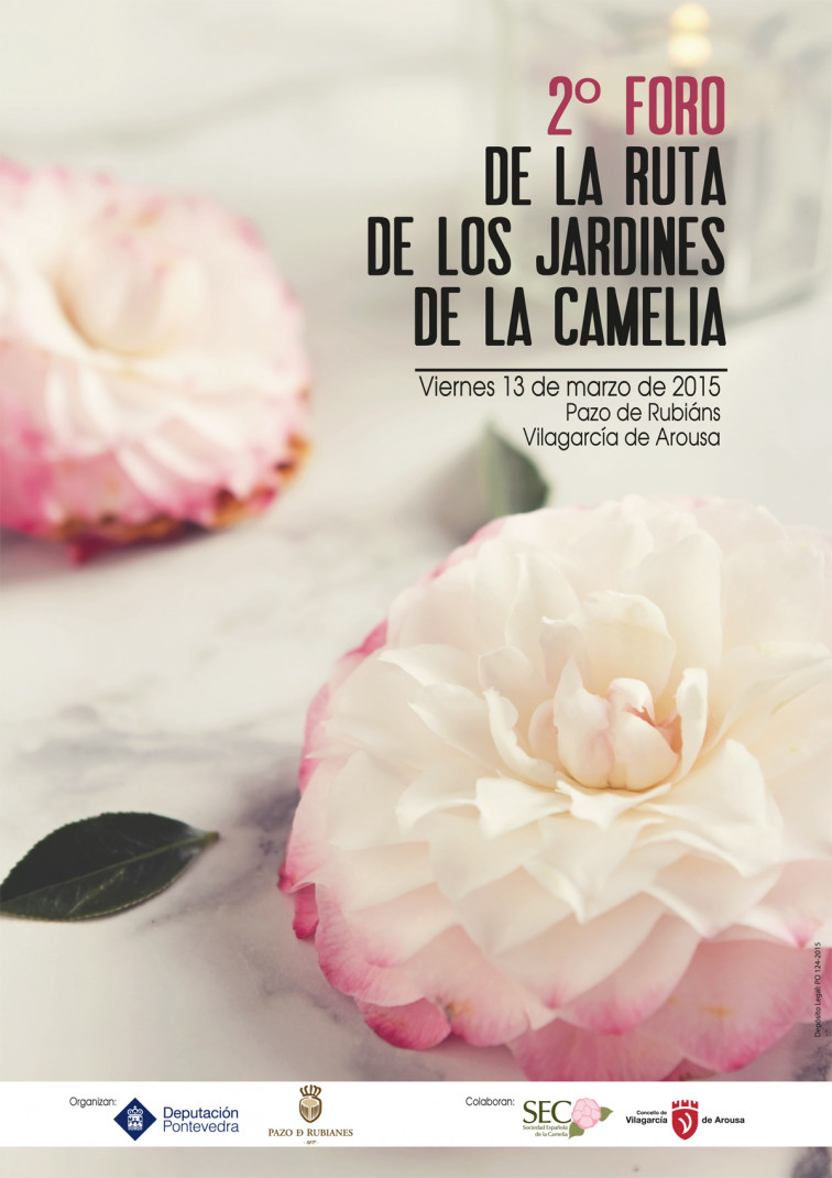 La Diputación de Pontevedra y el Pazo de Rubianes organizan, el próximo 13 de marzo, en Vilagarcía de Arousa, el 2º Foro de la Ruta de los Jardines de la Camelia
