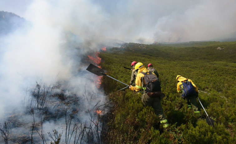Más incendios forestales, pero 600 hectáreas quemadas menos que el año pasado