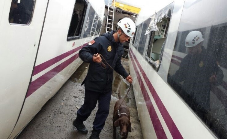 Un perro policía que trabajó en Angrois 