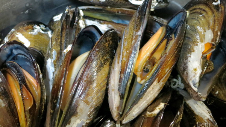 Productores de mejillón de Cerdeña se interesan por las técnicas usadas en Galicia