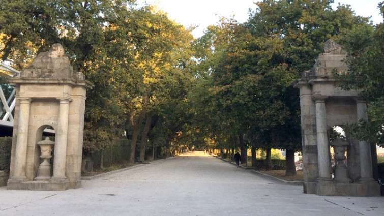 Eucaliptos y maleza dejan paso a especies autóctonas