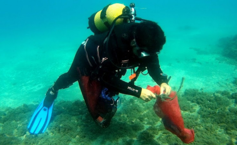 Más de 1.000 voluntarios se organizan para limpiar la basura del fondo del mar