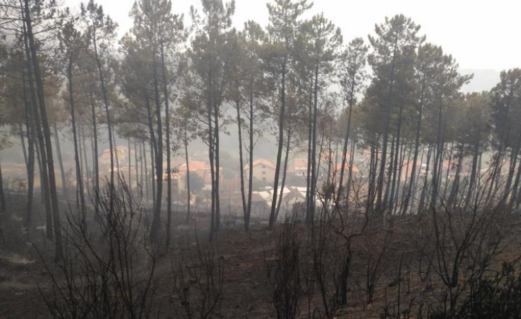 El detenido por el incendio de los Blancos declara que 