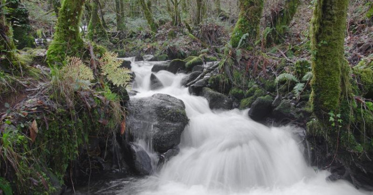 La Xunta asume como inevitable que Galicia debe 