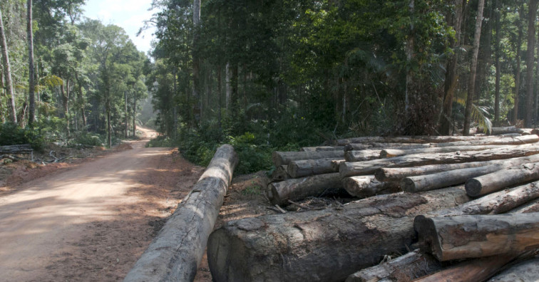 La Xunta planea 'limpiar' parcelas abandonadas y cobrar después a los propietarios