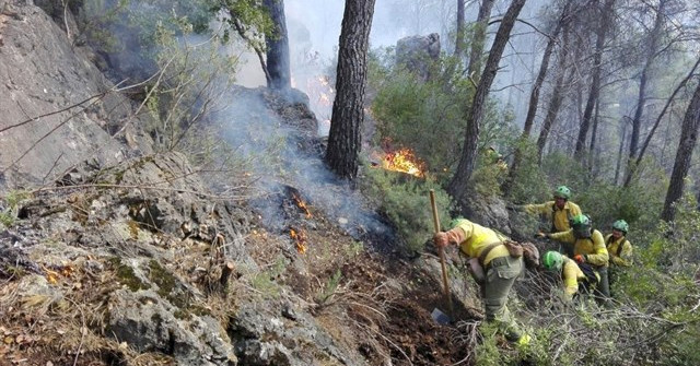 Incendiosforestalesbrigada