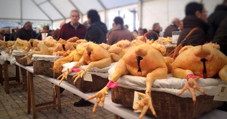 Cerca de 500 capones buscan mesa este jueves en Vilalba