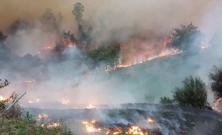 Otra vez volvieron a iniciarse incendios forestales justo antes de un temporal de viento