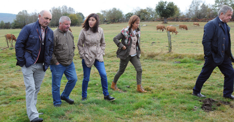 Los ganaderos perderán las ayudas para construir pozos por la burocracia de la propia Xunta
