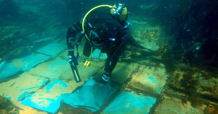 El desguace del 'Casón' destruye un hábitat marino de gran riqueza biológica