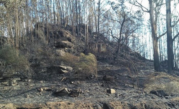 'Amigos da Terra' llevará a cabo actuaciones de regeneración de montes quemados en Ourense