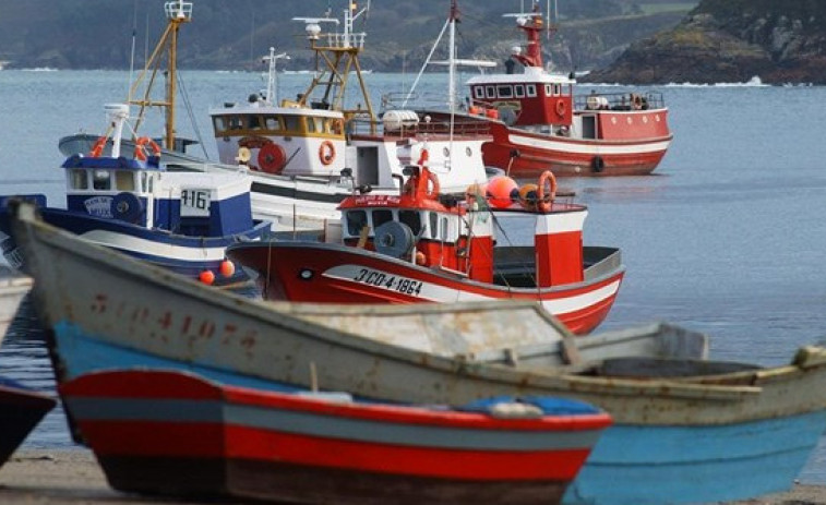 La última propuesta sobre cuotas de pesca se antoja 