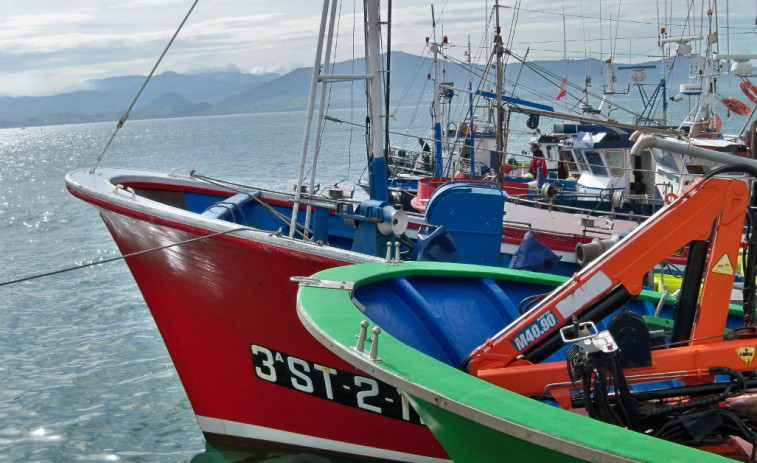 Los recortes de cuotas pesqueras castigan especialmente al jurel del sur de Fisterra