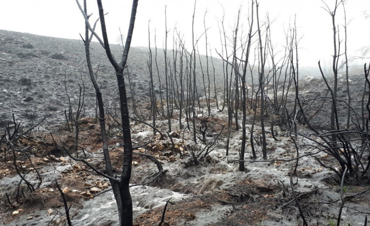 Las zonas más castigadas por el fuego sufrirán erosión incluso dentro de seis meses
