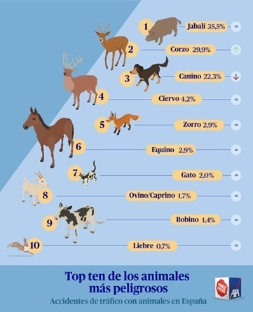 Informe Ponle Freno-Axa