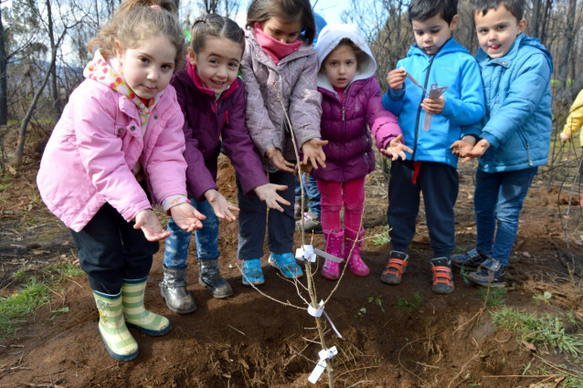 Acción de reforestación de la Fundación Amigos de Galicia en Chan de Vide
