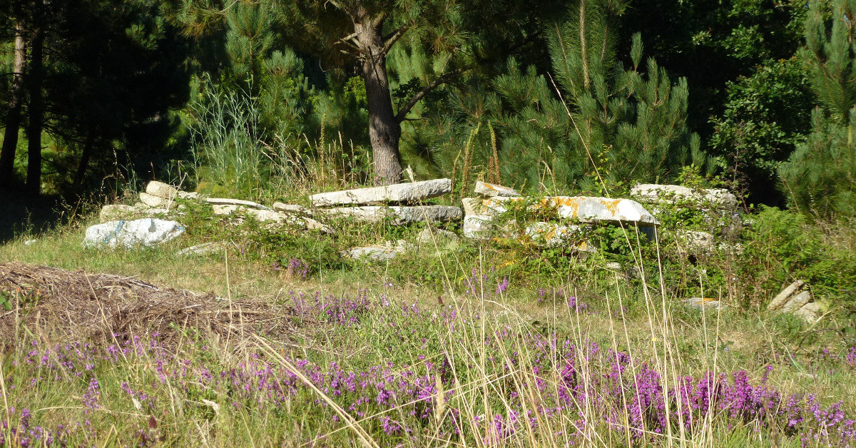 Restos del hu00f3rreo motivo de la investigaciu00f3n