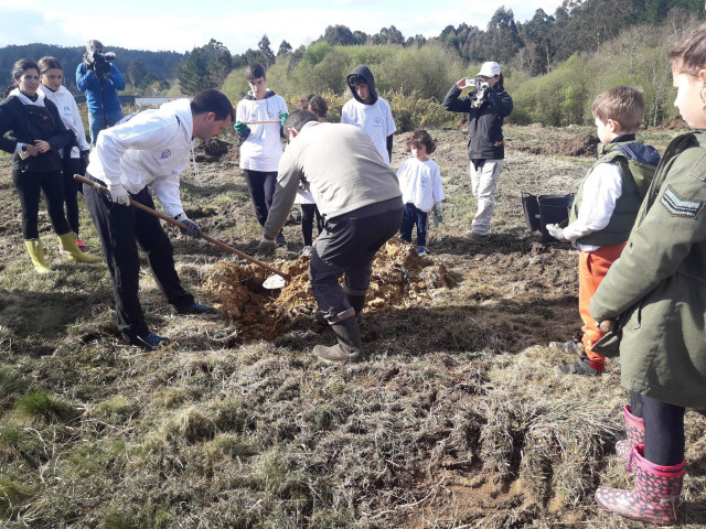 Plantación de árboles en Miño