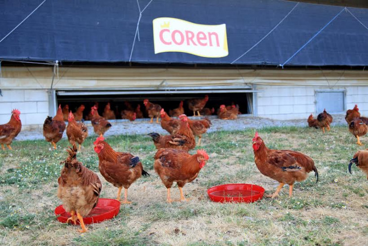 La producción campera al aire libre de Coren cumplen 20 años