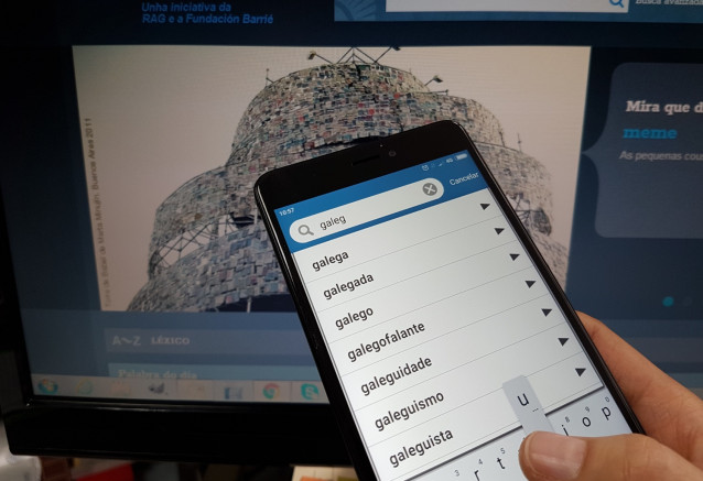 RAG aplicaciones diccionario