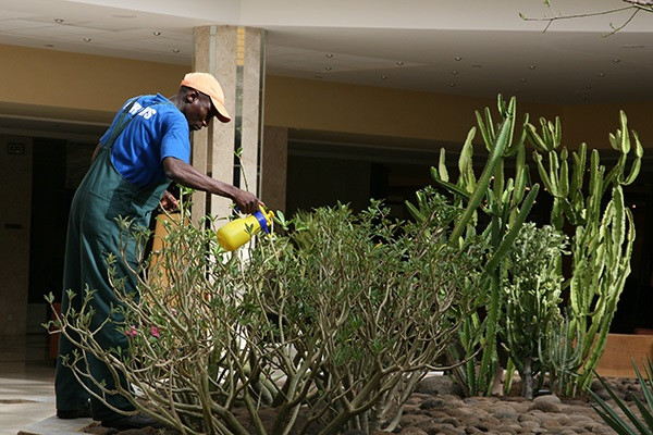 Trabajador extranjero