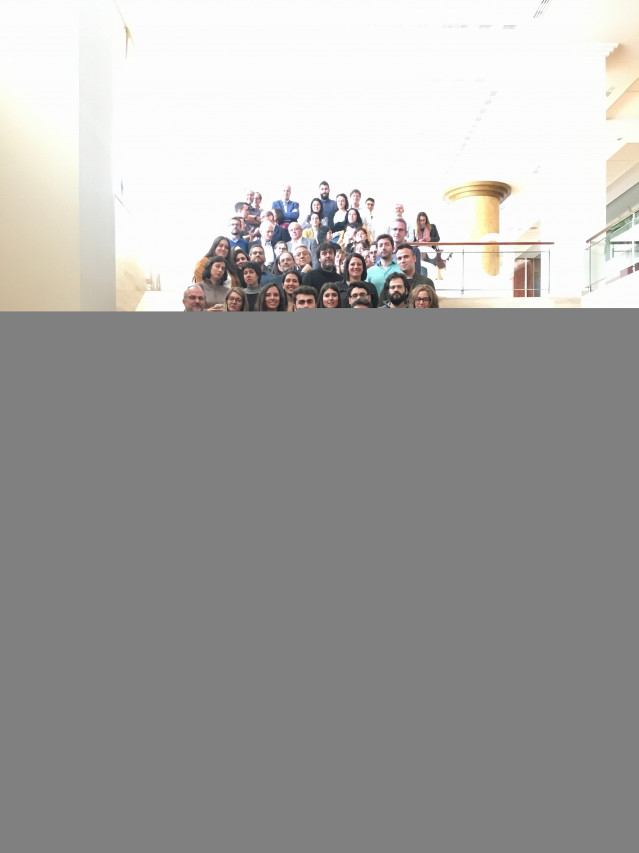 Red de Investigación Cooperativa en Enfermedades Vasculares Cerebrales