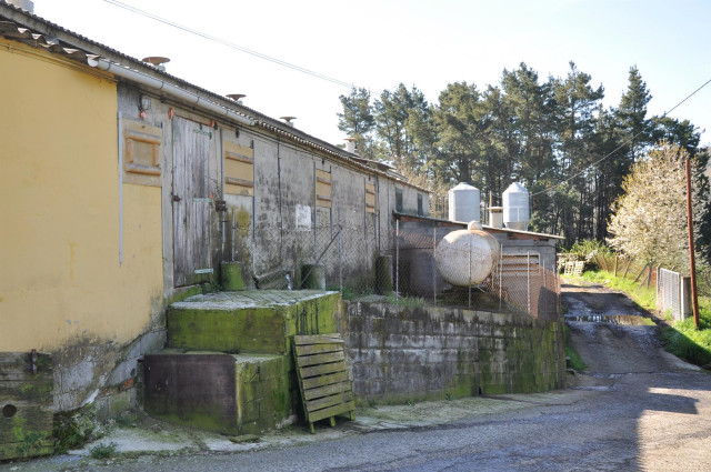 Granja en Sarria (Lugo) en la que se detectan casos de explotación laboral